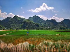 -万峰林风景区