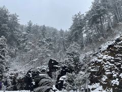 -四明山国家森林公园