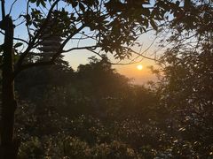 -缙云山景区
