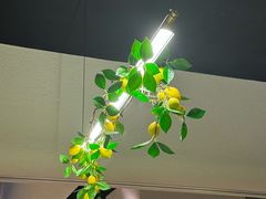 -Wood Garden(合生汇店)