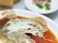 -金龙渔港(双楠店)