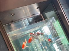 -浩运·海鲜青岛菜·海胆水饺(石老人店)