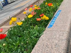 -中山路(地铁站)