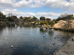 -水前寺成趣园