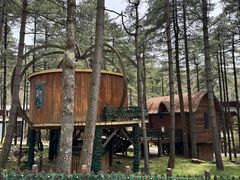 -洛阳白云山景区