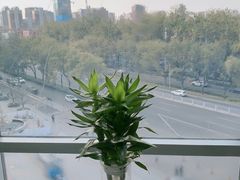 -新沸腾鱼乡(世贸天阶店)