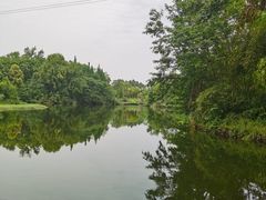 -桤木河湿地公园