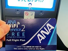 -全日本空输株式会社(上海办事处)