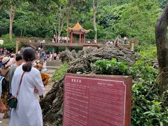 -广西龙虎山风景区