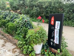 -云朵石锅鱼·野生菌餐厅(蒗放店)