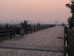 -汉长安城未央宫国家考古遗址公园