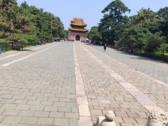 -北陵公园