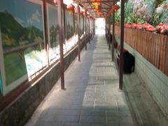 -窄巷子陕菜馆·地道陕西菜(粉巷店)