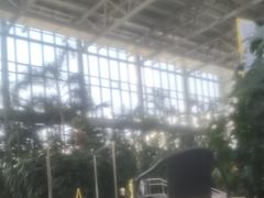 -中家鑫园温泉酒店鑫悦汤泉