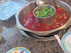 -金鼎雪山牦牛杂火锅(理县总店)