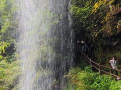 -龙苍沟森林公园