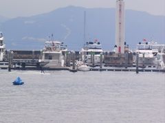 -招商蛇口邮轮母港(观光客运)