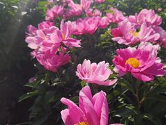 -长春公园(普阳街道)