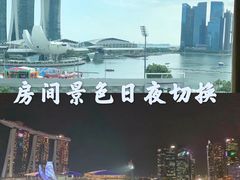 -新加坡文华东方酒店