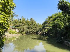 -广西壮族自治区药用植物园