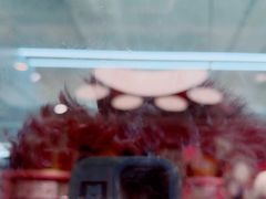 -FAELING PETS美天灵宠物(合生汇店)