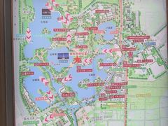 -荔湾湖公园