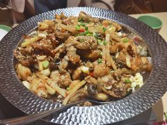 -刘香香·川香红锅美蛙(福田店)