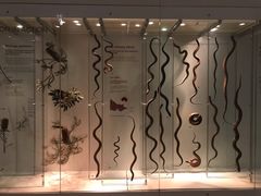 -墨尔本博物馆(Melbourne Museum)