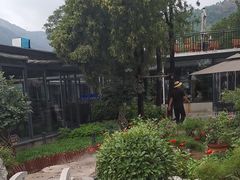 -蘇河湾·新鲁菜·泰山宴(泰山店)