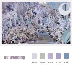 -DC大蔡婚礼策划(李公堤店)