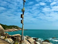 -广东惠东海龟国家级自然保护区