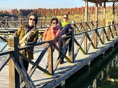 -溱湖国家湿地公园