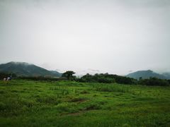 -四明湖