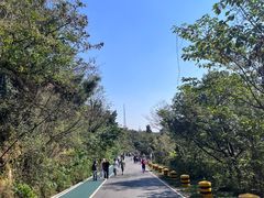 -惠山国家森林公园