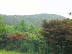 -九龙潭景区