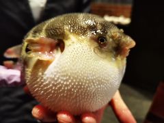 -永安鱼庄·镇江菜(东吴路店)