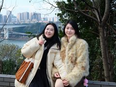 -李子坝梁山鸡(李子坝大鸡哥店)