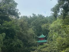 -岳麓山风景名胜区