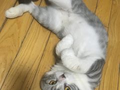 -韩盛·盛江山自助料理(中街大悦城店)