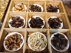-昆虫窝子·特色云南菜(拓东路总店)
