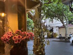 -Apollo·西班牙小酒馆(安福路店)