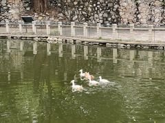 -石家庄市动物园