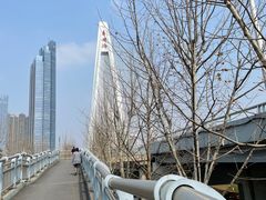 -月湖风景区