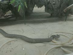 -荔城生鲜盛宴(番禺旗舰店)