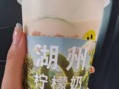 -猫的魔法密林(衣裳街店)