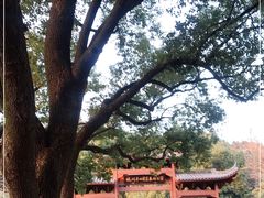 -杭州半山国家森林公园