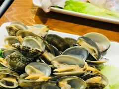 蛤蜊-云中鱼蒸汽石锅鱼(川沙百联店)