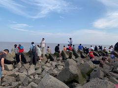 -南汇嘴观海公园