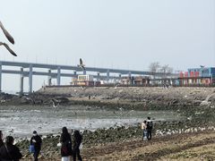 -黑石礁公园