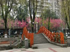 -温江公园